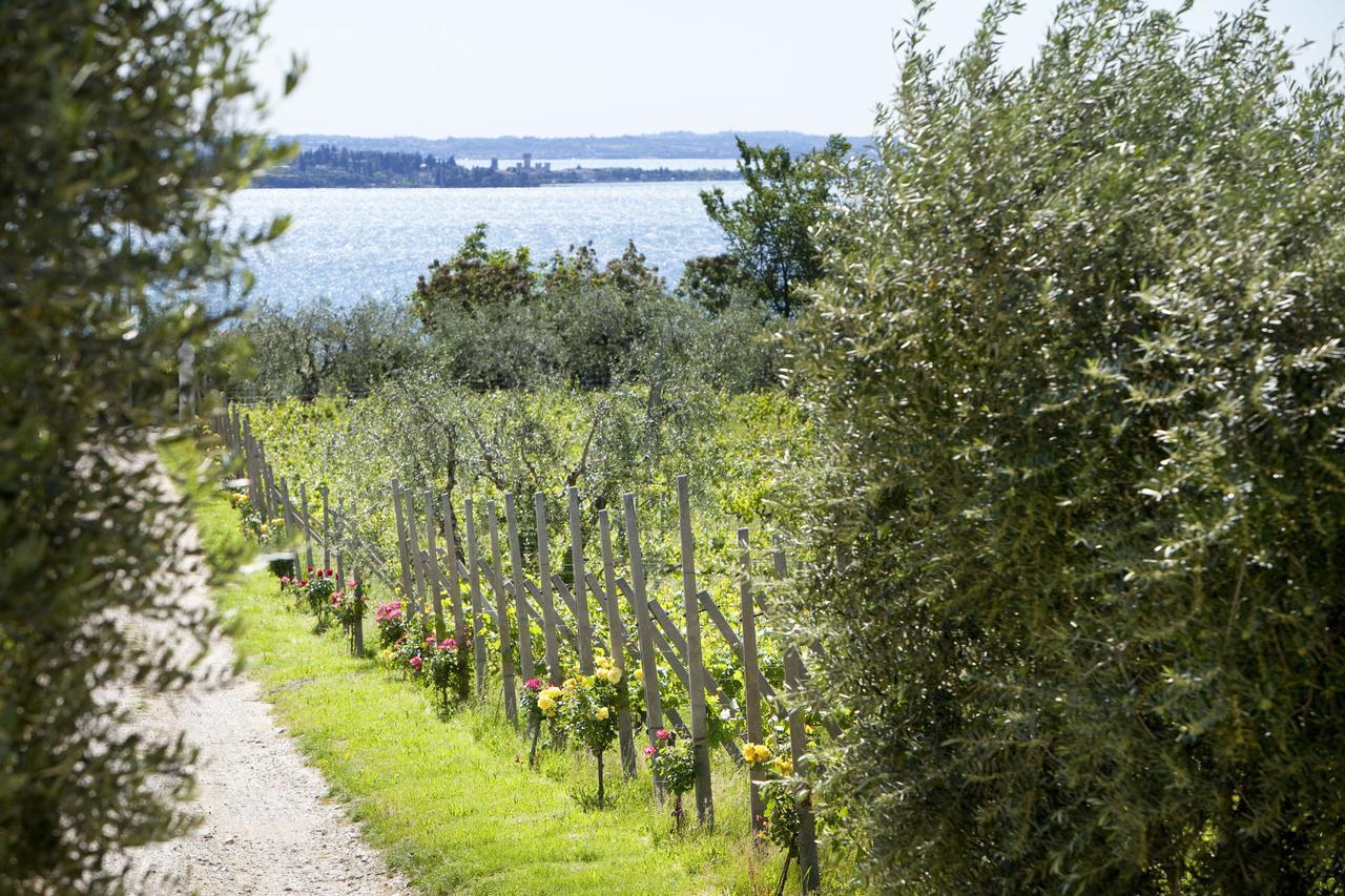 Agrigturismo Monte Cicogna Farm stay