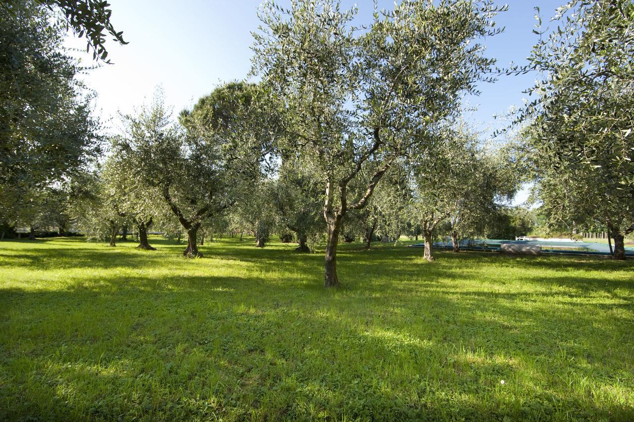 Farm stay Agrigturismo Monte Cicogna